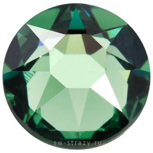 2088 ss 16 Erinite F